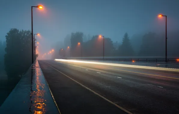 Road, light, trees, night, fog, lights