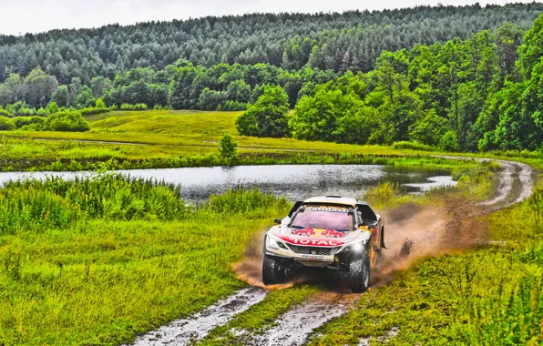Nature, Grass, Lake, Forest, Sport, Speed, Dirt, Peugeot