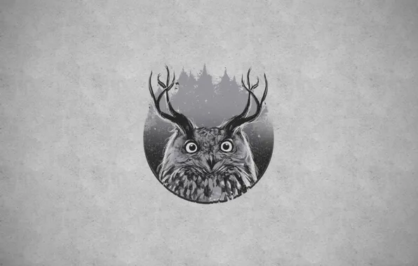Picture owl, horns, owl+horn