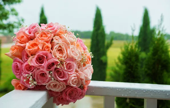 Roses, pink, wedding bouquet, bouquet, roses, wedding