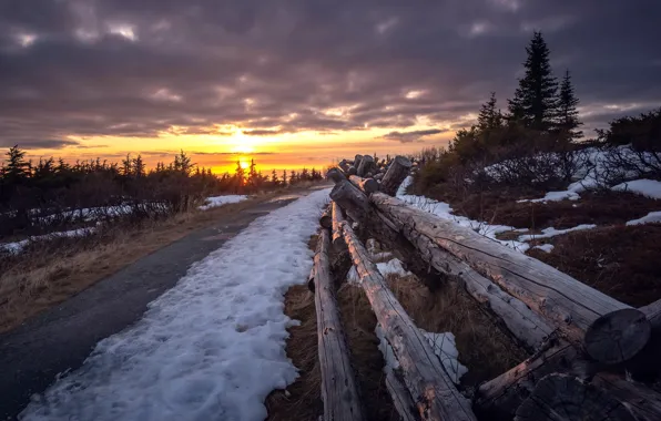 Picture winter, sunset, the fence