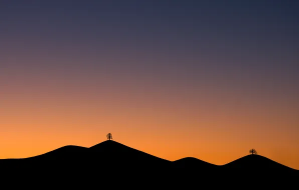 Trees, mountains, tree, dawn, landscapes, morning, horizon