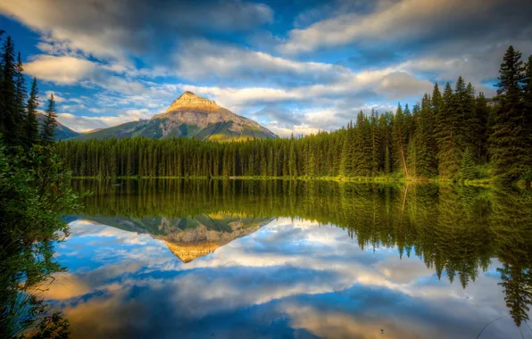 Forest, lake, reflection, mountain, Canada, Albert, Banff National Park, Alberta