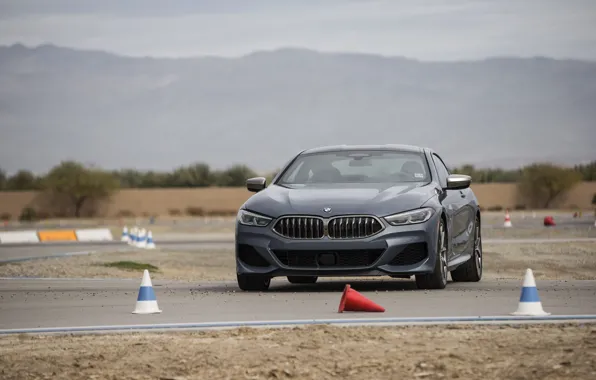 Picture coupe, BMW, on the track, 2018, gray-blue, 8-Series, 2019, M850i xDrive, Eight, G15