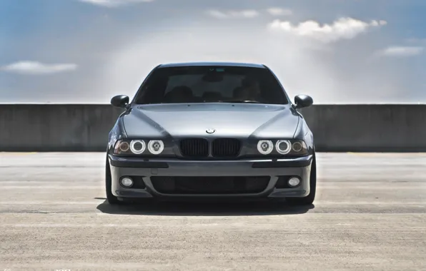 Picture bmw, BMW, front view, E39