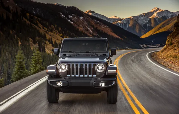 Tops, turn, the hood, before, 2018, Jeep, dark gray, Wrangler Sahara