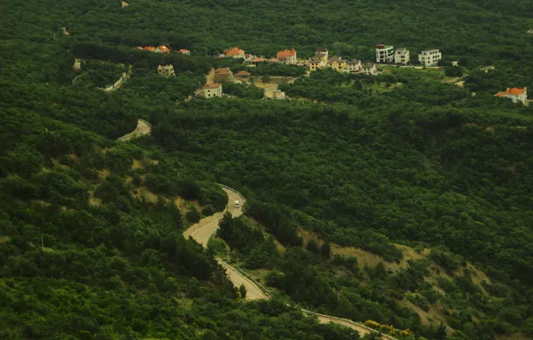 Road, trees, height, Crimea