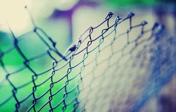 Picture macro, light, blue, green, background, mesh, Wallpaper, the fence