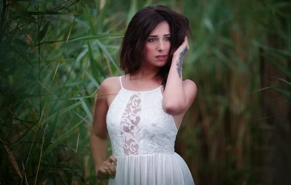 Sexy, dress, tattoo, beauty, bokeh