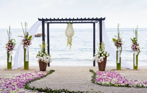 Picture sea, flowers, nature, tropics, coast, orchids, gazebo, radar path