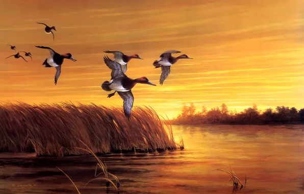 Autumn, the sky, grass, flight, sunset, birds, nature, river