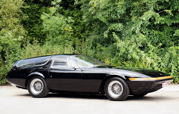 Trees, Ferrari, classic, 365, 1975, Shooting Brake, Gtb 4