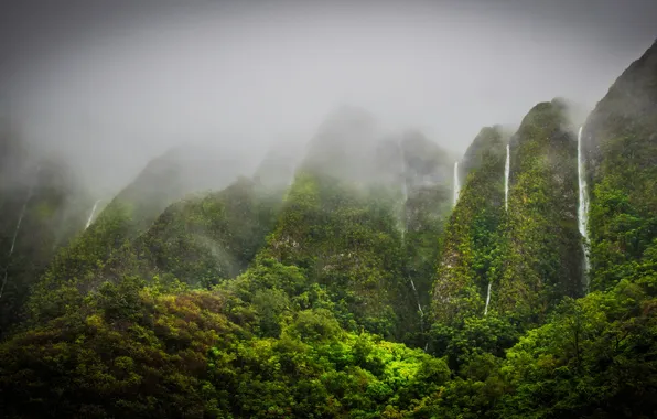 Picture mountains, Hawaii, Hawaii, tropics, Oahu, waterfalls., Jungle Highhlands