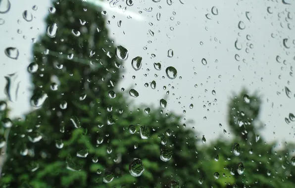 Picture glass, drops, macro, rain, Akela White