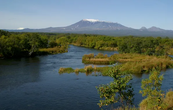 Forest, mountains, nature, river, photo, Kamchatka