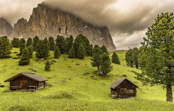 Field, forest, mountains, clouds, Alps, houses, pine