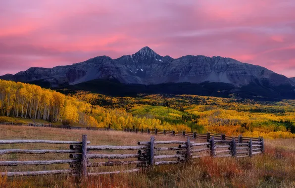 Field, autumn, forest, mountains, the fence, the evening, fence