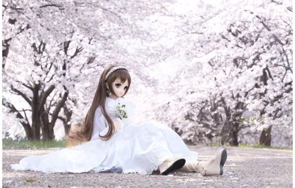 Shoes, doll, Sakura, dress