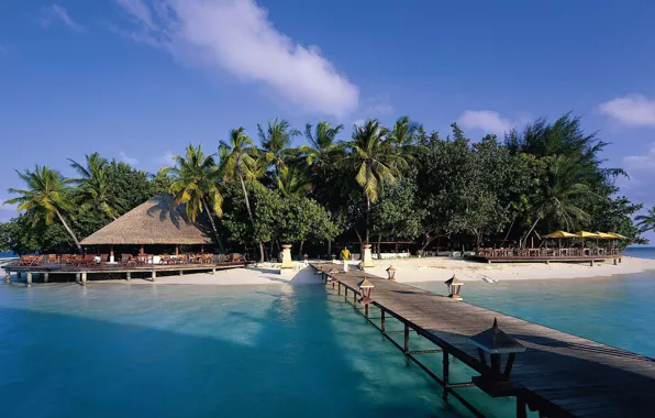 Palm trees, the ocean, island, pier, The Maldives, resort