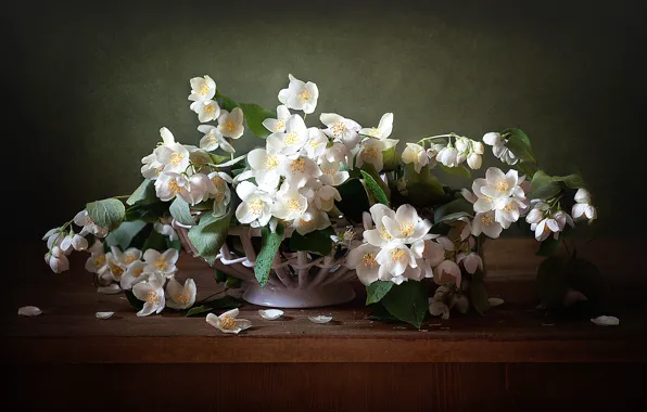 Picture bouquet, petals, Jasmine