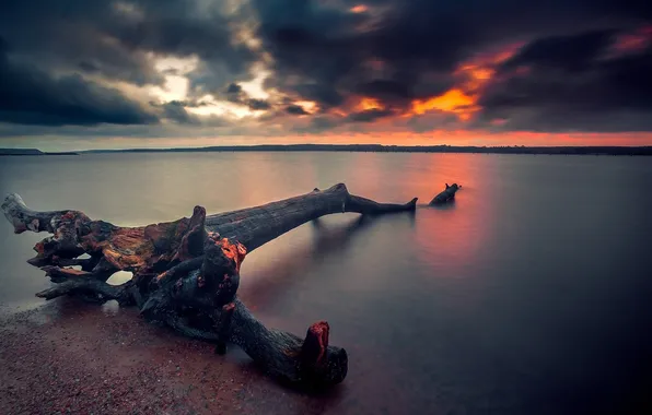 Picture clouds, sunset, Lithuania, Bay. tree