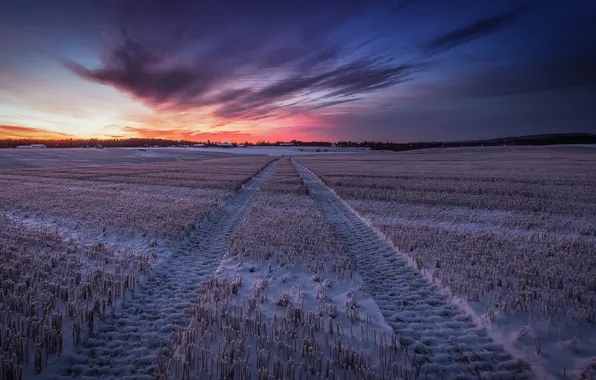 Winter, field, night