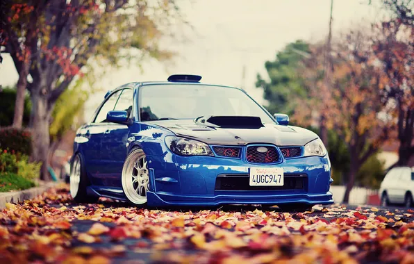 Autumn, street, subaru, wrx, Subaru, bokeh