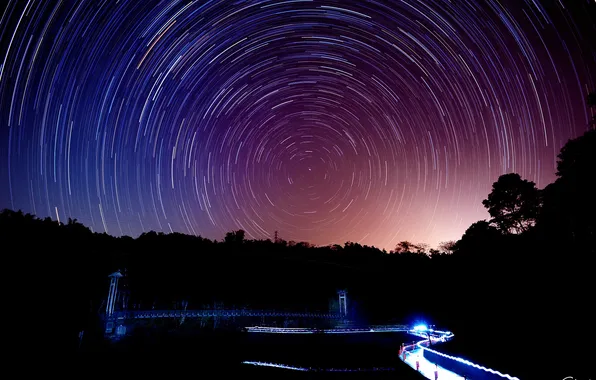 Road, trees, circles, night, lights, shooting, starry sky