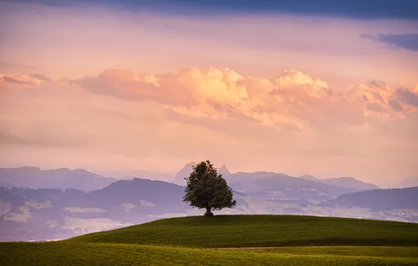 Picture field, the sky, grass, clouds, mountains, nature, tree