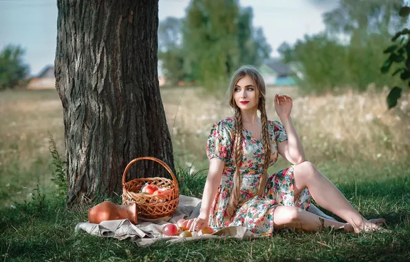 Picture basket, picnic, girl, nature