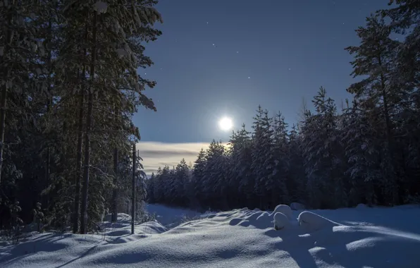Winter, forest, the sky, snow, trees, ate, the snow, Finland
