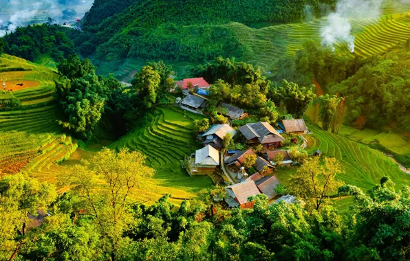 Greens, forest, mountains, strip, hills, smoke, the slopes, view
