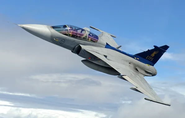 The sky, fighter, multipurpose, Gripen, JAS 39