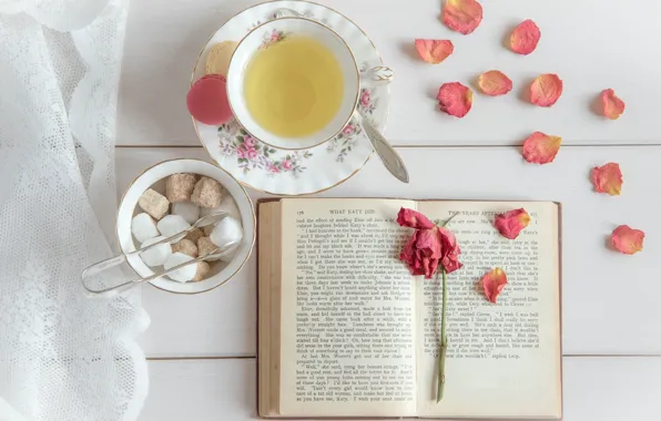 Picture tea, rose, petals, sugar, book