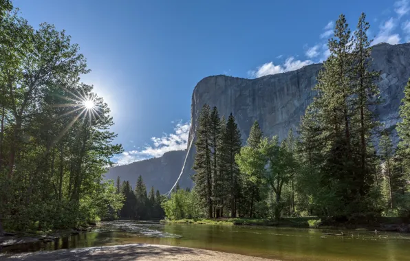 Forest, the sky, trees, landscape, nature, rock, river, mountain