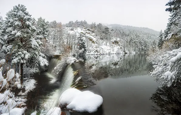 Picture winter, forest, river