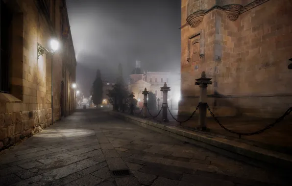 Night, the city, fog, Salamanca, Castile and León