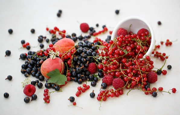 Berries, raspberry, black, fruit, red, currants, nectarine, Julia Khusainova