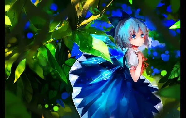 Leaves, dress, fairy, blue eyes, bow, wings, touhou, cirno