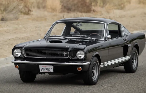 Picture Mustang, Ford, Shelby, 1966, GT350, Ford Mustang, 1966 Ford Mustang Shelby GT350