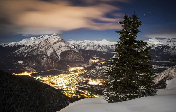 Forest, the sky, stars, clouds, mountains, night, lights, height