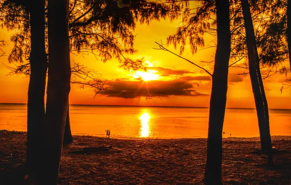 The sun, rays, trees, sunset, children, shore, the evening