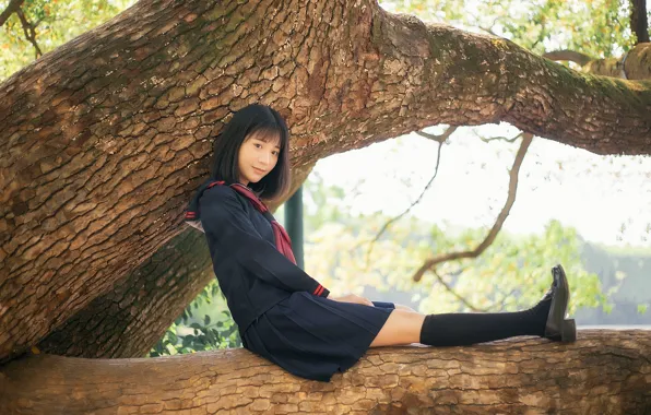 Beautiful, Asian, Model, Tree, Woman, Pretty, Japanese, Outdoor