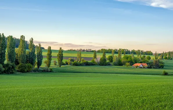 Road, greens, field, the sky, the sun, trees, Czech Republic, house