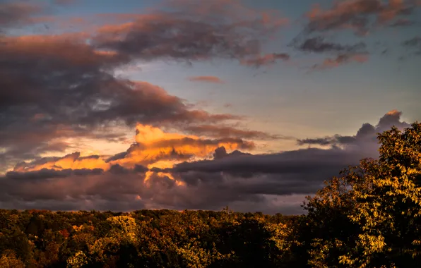 Clouds, Sky, Sunset, Autumn, Evening, View, Forest, Trees