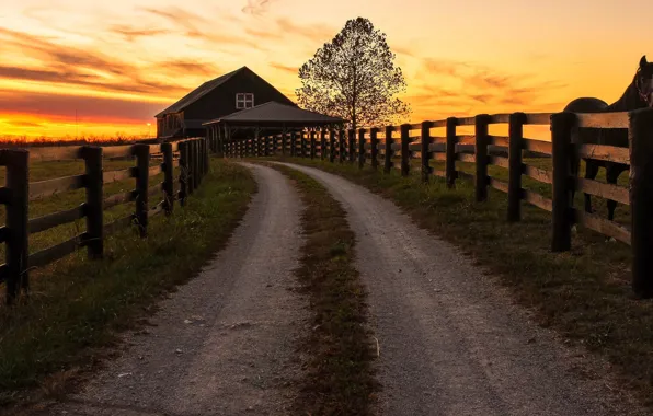 Road, horse, the evening, fence