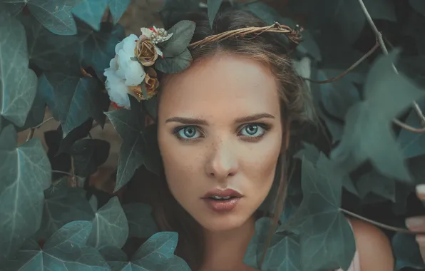 Picture look, leaves, flowers, face, wreath, Marharyta