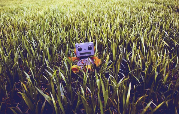 Picture lawn, robot, Grass, toy