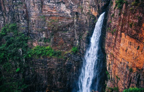 Forest, water, stone, waterfall, canyon, gorge