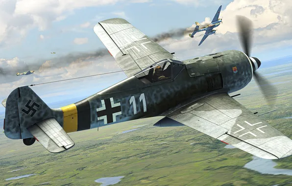 Luftwaffe, fighter-monoplane, German single-seater single piston, Antonis (rOEN911) Karidis, Focke-Wulf Fw-190 - The Butcher Bird
